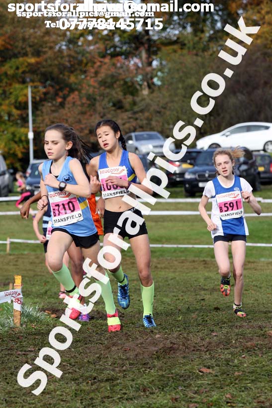Girls under-13s National Cross Country Relay, Berry Hill Park, Mansfield. Photo:  David T. Hewitson/Sports for All Pics
